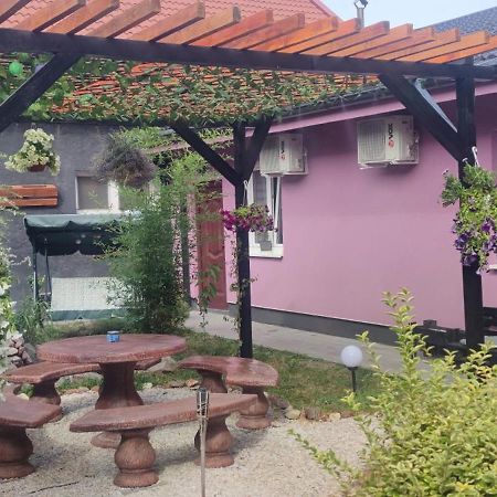 Zen Apartmani Nagybecskerek Kültér fotó