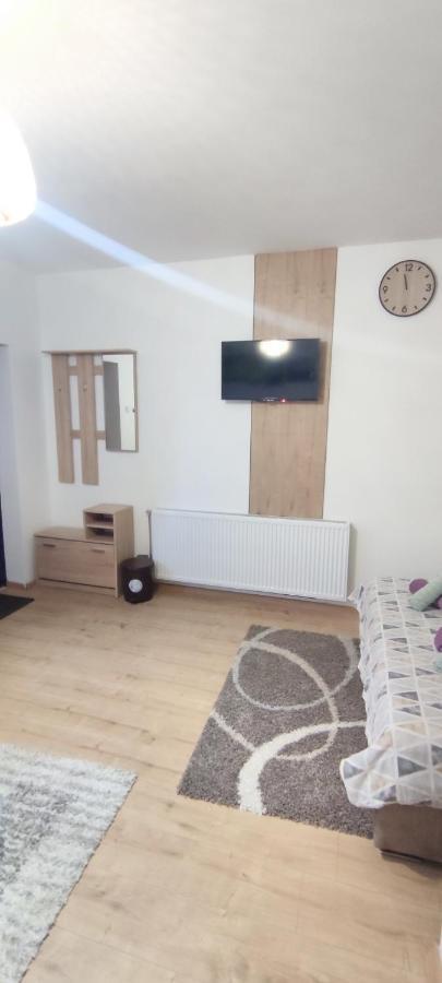 Zen Apartmani Nagybecskerek Kültér fotó