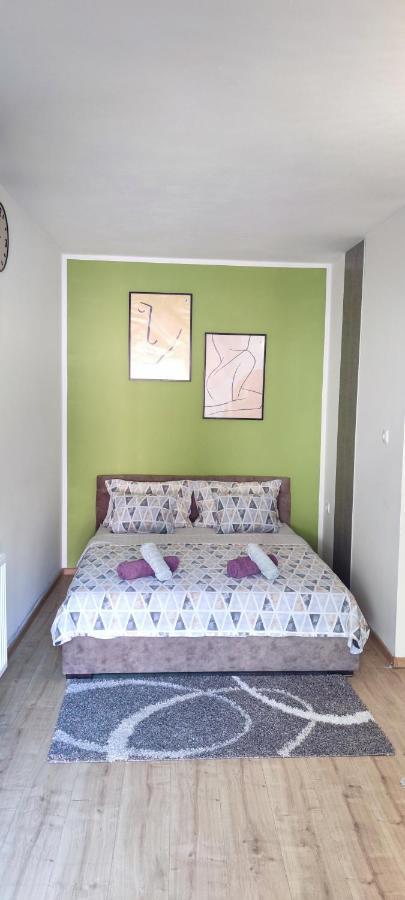 Zen Apartmani Nagybecskerek Kültér fotó